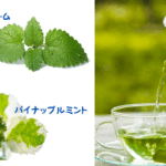 5月のティザンヌ